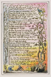 S.124-1950.pt21 Skoledrengen: plade 21 fra Songs of Innocence and of Experience (kopi R) c.1802-08 (ætsning, blæk og wc)